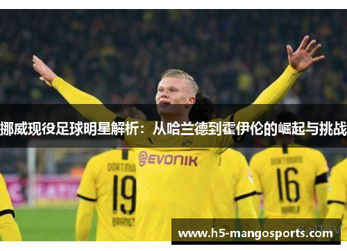 挪威现役足球明星解析：从哈兰德到霍伊伦的崛起与挑战