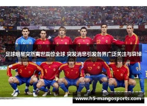 足球明星突然离世震惊全球 突发消息引发各界广泛关注与哀悼