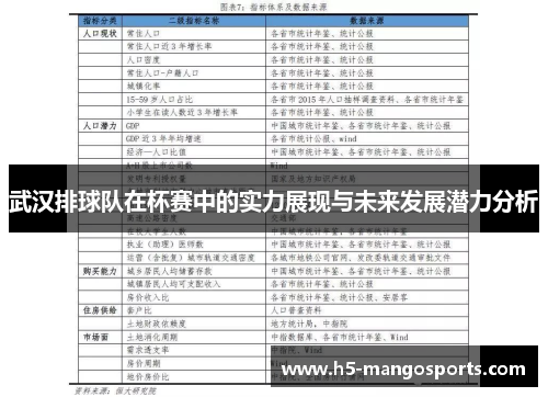 武汉排球队在杯赛中的实力展现与未来发展潜力分析