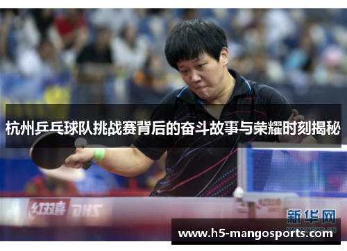 杭州乒乓球队挑战赛背后的奋斗故事与荣耀时刻揭秘